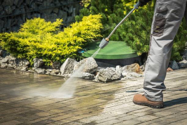 Best Pool Deck Cleaning in Monte Alto, TX